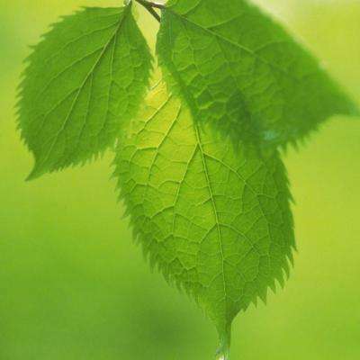 2023澳门资料大全正版下载手机版